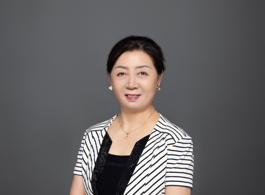  保力新能源科技股份有限公司董事長/總經(jīng)理 高保清