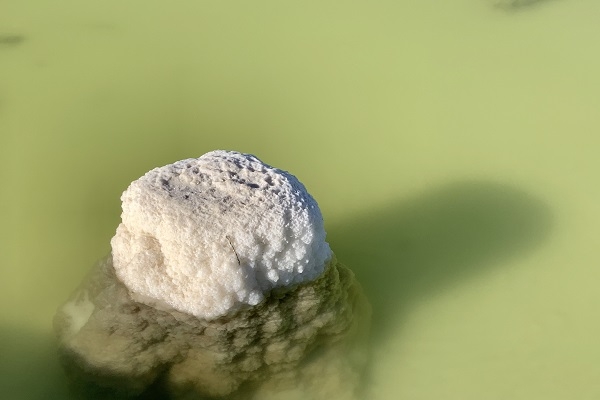 碳酸鋰價(jià)格狂飆后腰斬 短期陣痛對(duì)產(chǎn)業(yè)鏈影響有多大