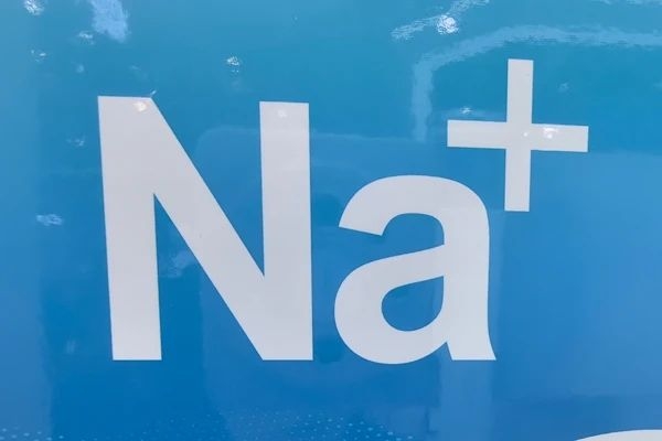 20億元！17條產(chǎn)線！莫鈉技術(shù)內(nèi)蒙古鈉電池產(chǎn)業(yè)項(xiàng)目備案通過