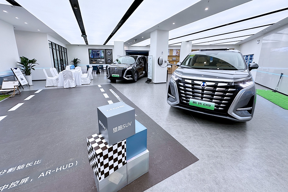 世界新能源車進(jìn)入分化發(fā)展新階段 前10月中國(guó)乘用車占比68.9%