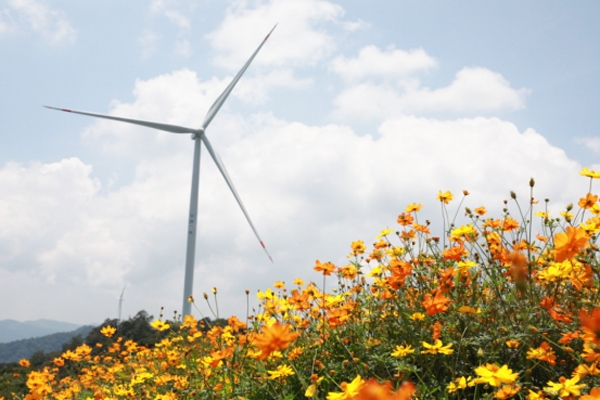 注冊資本1億元！中廣核風(fēng)電等投資成立新能源公司