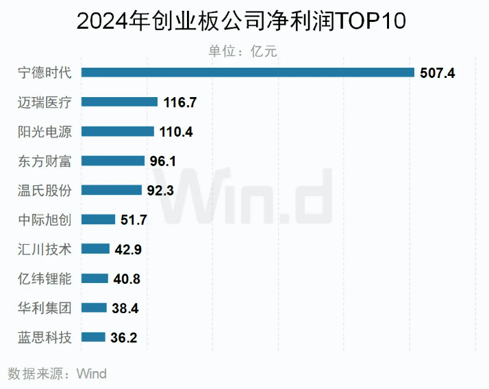 2024年創(chuàng)業(yè)板歸母凈利潤TOP10公司