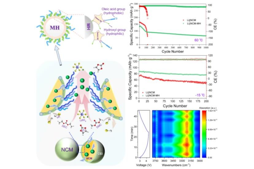 提升寬溫域性能！中科院鎂基鋰電池研究獲新進(jìn)展