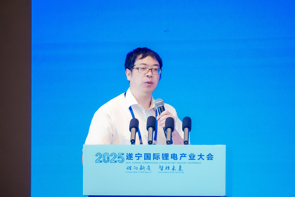 非洲科學(xué)院院士/德國(guó)薩克森科學(xué)院通訊院士/東南大學(xué)能源與環(huán)境學(xué)院教授/東南大學(xué)新一代儲(chǔ)能中心執(zhí)行主任 吳宇平