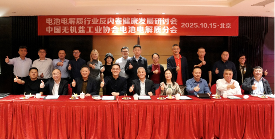 破局“內(nèi)卷”！電池電解質(zhì)行業(yè)健康發(fā)展研討會(huì)發(fā)布共同倡議