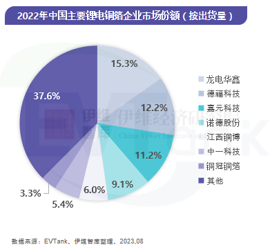 2022年中國(guó)主要鋰電銅箔企業(yè)市場(chǎng)份額 2022年中國(guó)主要鋰電銅箔企業(yè)市場(chǎng)份額