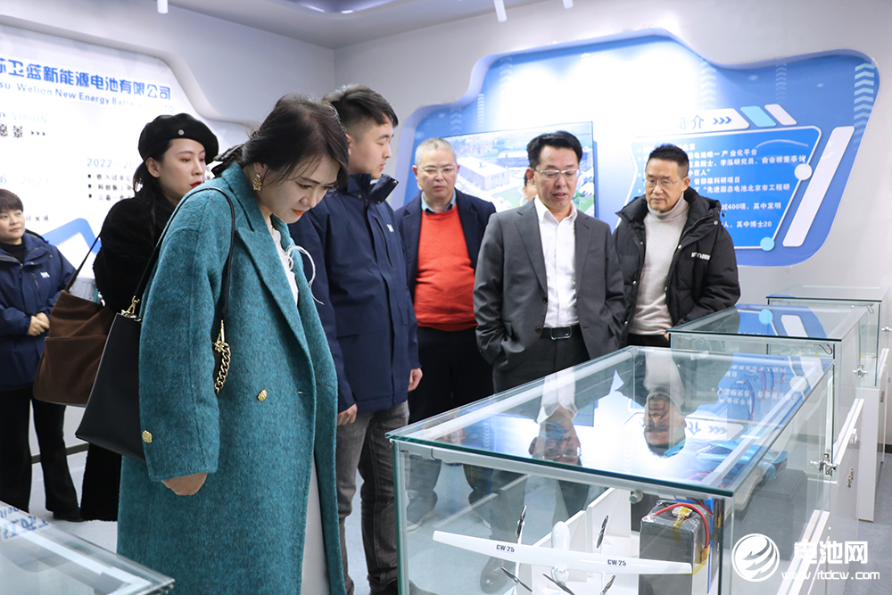中國電池新能源產(chǎn)業(yè)鏈調(diào)研團一行參觀考察江蘇衛(wèi)藍(lán)新能源