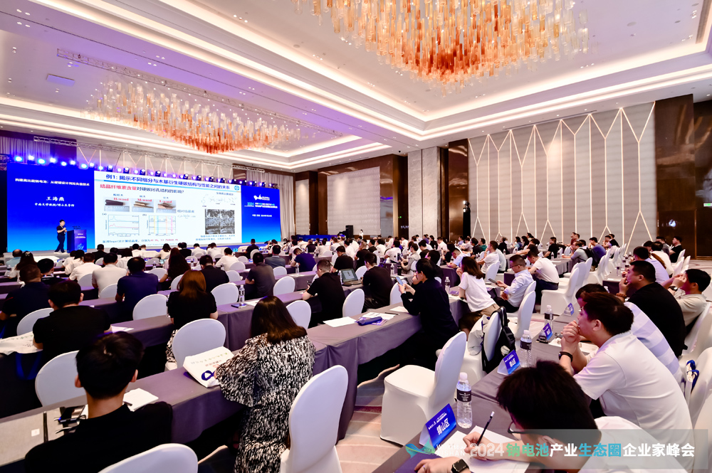 風(fēng)口？風(fēng)險？千億級鈉電池賽道如何突圍？