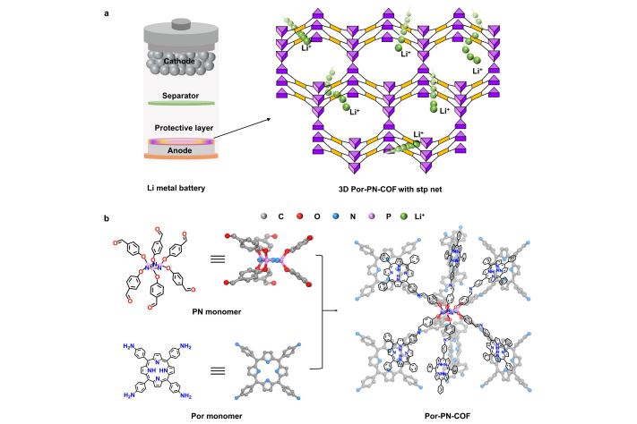 我國科學家開發(fā)出新型三維共價有機框架 可提升鋰金屬電池性能