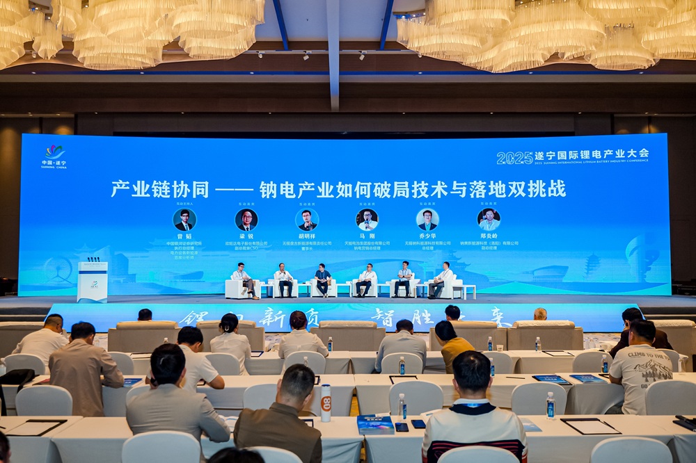 產(chǎn)業(yè)鏈協(xié)同，鈉電產(chǎn)業(yè)如何破局技術(shù)與落地雙挑戰(zhàn)？